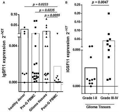 The Promising IgSF11 Immune Checkpoint Is Highly Expressed in Advanced Human Gliomas and Associates to Poor Prognosis